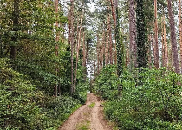 Waldvilla Haus Gustav Am Ostseestrand 루브민